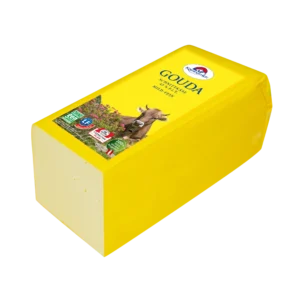 KM_Gouda-Stange_25